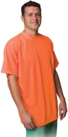Non-ANSI Short Sleeve T-Shirt