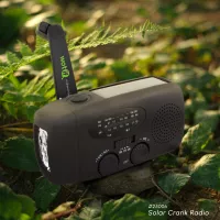 Solar Radio
