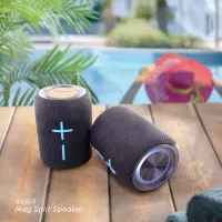 MAG Split Speaker