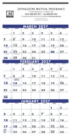 Triumph® Calendars 3-Month Planner (4-Sheet)