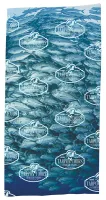 Universal Source® Full-Color Bandana
