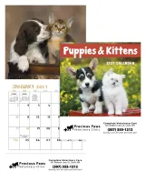 Good Value™ Puppies & Kittens - Mini Calendar
