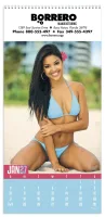 Triumph® Calendars Swimsuits Calendar