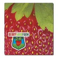 Good Value™ 1/16" Fabric Surface Mouse Pad (7-1/2" x 8")