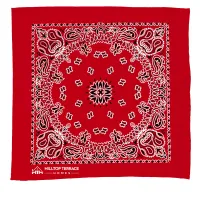 Garyline® 22" Bandana with Stock Paisley Pattern