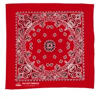 Garyline® 22" Bandana with Stock Paisley Pattern
