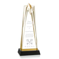 Shooting Star Award