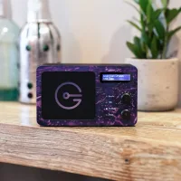 Soundview Speaker
