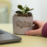 Mini Parker Plant