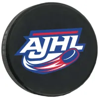 Official Hockey Puck