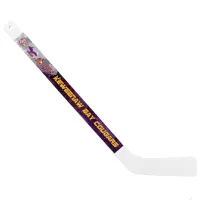 19" Mini Plastic Hockey Stick
