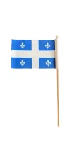 Double Full Color Hand Waving Flag
