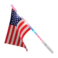 Light Up Rainbow Flag