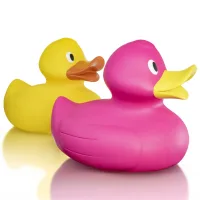 Jumbo Duck