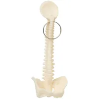 Spine Keyring