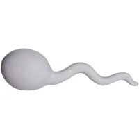 Sperm Squeezies® Stress Reliever