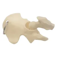 Hip Keyring