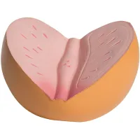 Prostate Squeezies® Stress Reliever