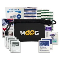 Mini First Aid Kit